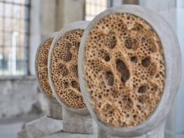 GÜNTER RICHARD WETT