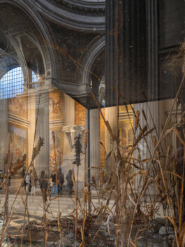 GÜNTER RICHARD WETT