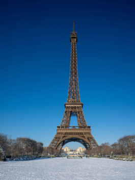 GÜNTER RICHARD WETT