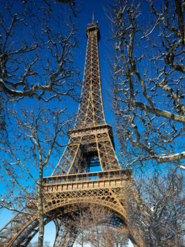 GÜNTER RICHARD WETT