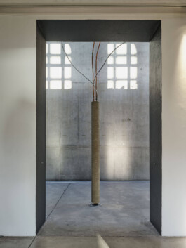 GÜNTER RICHARD WETT