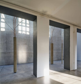 GÜNTER RICHARD WETT