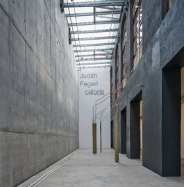 GÜNTER RICHARD WETT