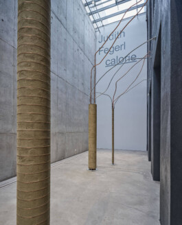 GÜNTER RICHARD WETT