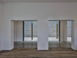 GÜNTER RICHARD WETT