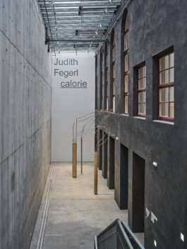 GÜNTER RICHARD WETT