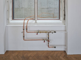 GÜNTER RICHARD WETT