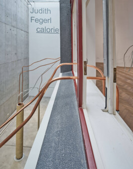 GÜNTER RICHARD WETT