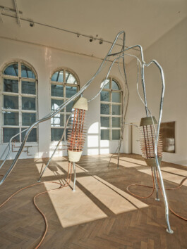 GÜNTER RICHARD WETT