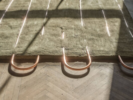 GÜNTER RICHARD WETT