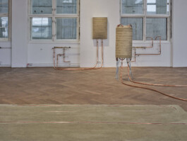 GÜNTER RICHARD WETT