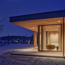 GÜNTER RICHARD WETT