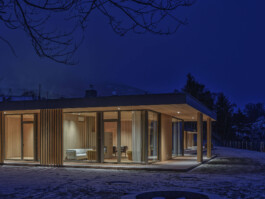 GÜNTER RICHARD WETT