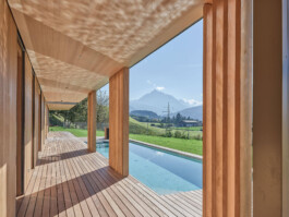 GÜNTER RICHARD WETT