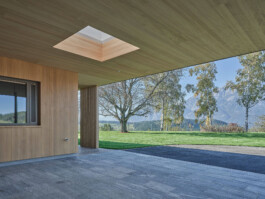 GÜNTER RICHARD WETT