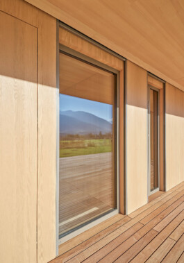 GÜNTER RICHARD WETT