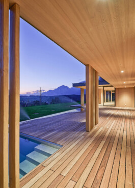 GÜNTER RICHARD WETT