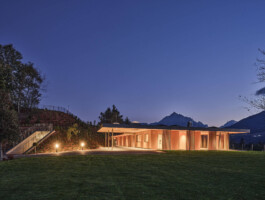 GÜNTER RICHARD WETT