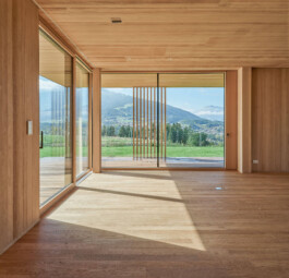 GÜNTER RICHARD WETT