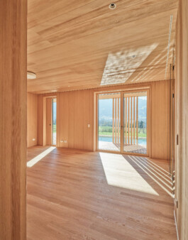 GÜNTER RICHARD WETT