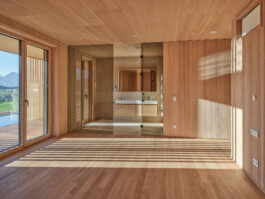 GÜNTER RICHARD WETT