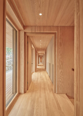 GÜNTER RICHARD WETT