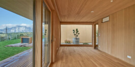 GÜNTER RICHARD WETT