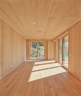 GÜNTER RICHARD WETT