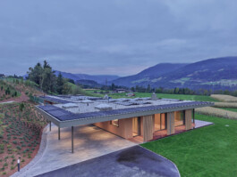 GÜNTER RICHARD WETT