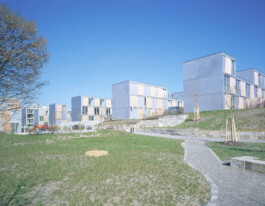 GÜNTER RICHARD WETT