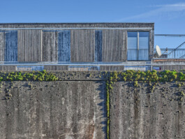 GÜNTER RICHARD WETT