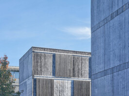 GÜNTER RICHARD WETT