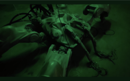 GÜNTER RICHARD WETT