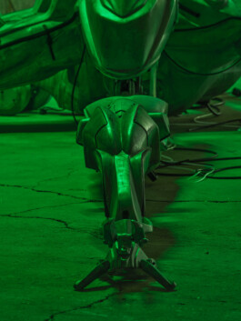 GÜNTER RICHARD WETT