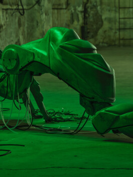 GÜNTER RICHARD WETT