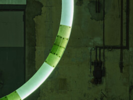 GÜNTER RICHARD WETT