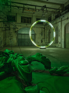 GÜNTER RICHARD WETT