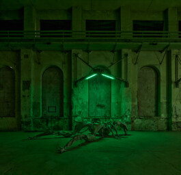 GÜNTER RICHARD WETT