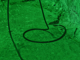 GÜNTER RICHARD WETT