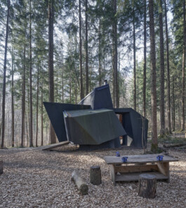 GÜNTER RICHARD WETT