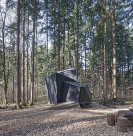 GÜNTER RICHARD WETT