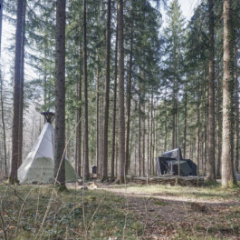 GÜNTER RICHARD WETT