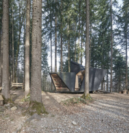 GÜNTER RICHARD WETT