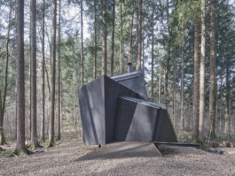 GÜNTER RICHARD WETT