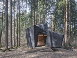 GÜNTER RICHARD WETT