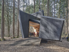 GÜNTER RICHARD WETT