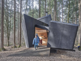 GÜNTER RICHARD WETT