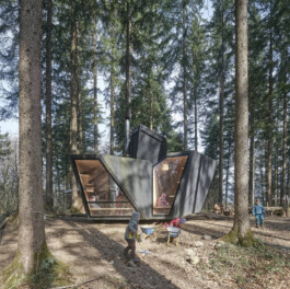 GÜNTER RICHARD WETT