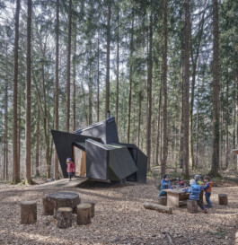 GÜNTER RICHARD WETT