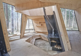 GÜNTER RICHARD WETT